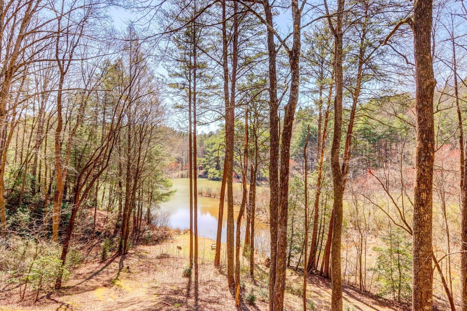 Sisson Lake Views