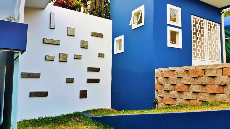 Backyard and Laundry room