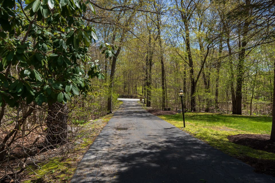 Driveway to private oasis 