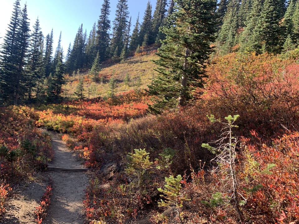 Rainier National Park just minutes away  (taken while hiking in 2022)