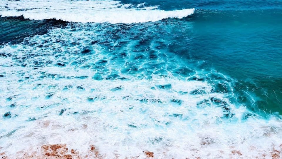 Afternoon waves in the back yard