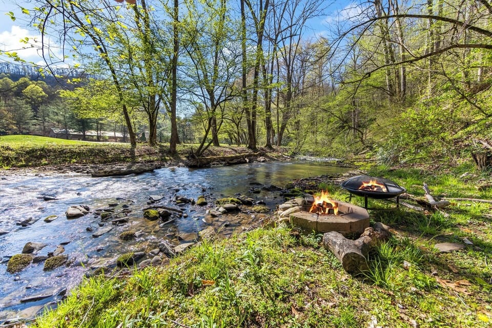 Back Yard Fire Pit & Conleys Creek