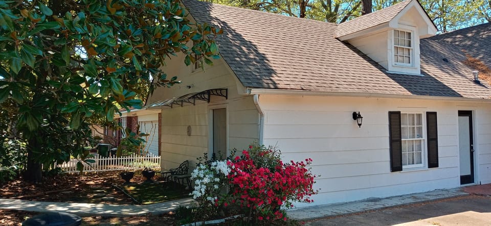 Moonlight Magnolia Building