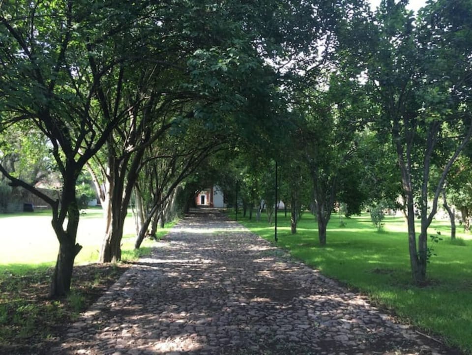 Property grounds