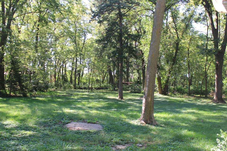 Lots of trees and places to walk or just  enjoy God's creation.