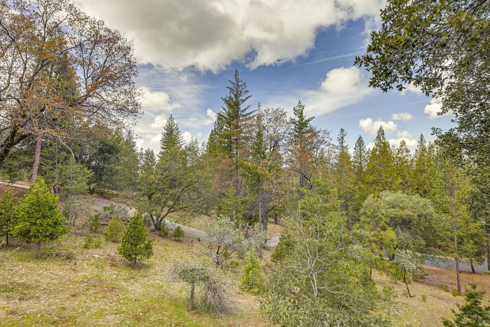 Forested Views