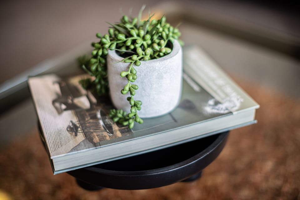 A charming planter adds a touch of greenery to this stylish coffee table, creating a warm and welcoming ambiance.