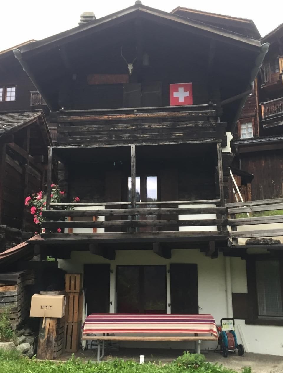 Picture 6