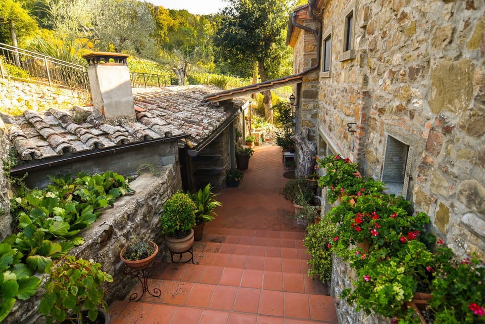 Garden, Outdoor