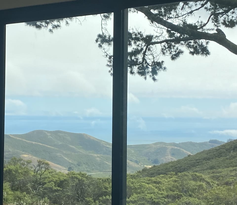 room with a view 