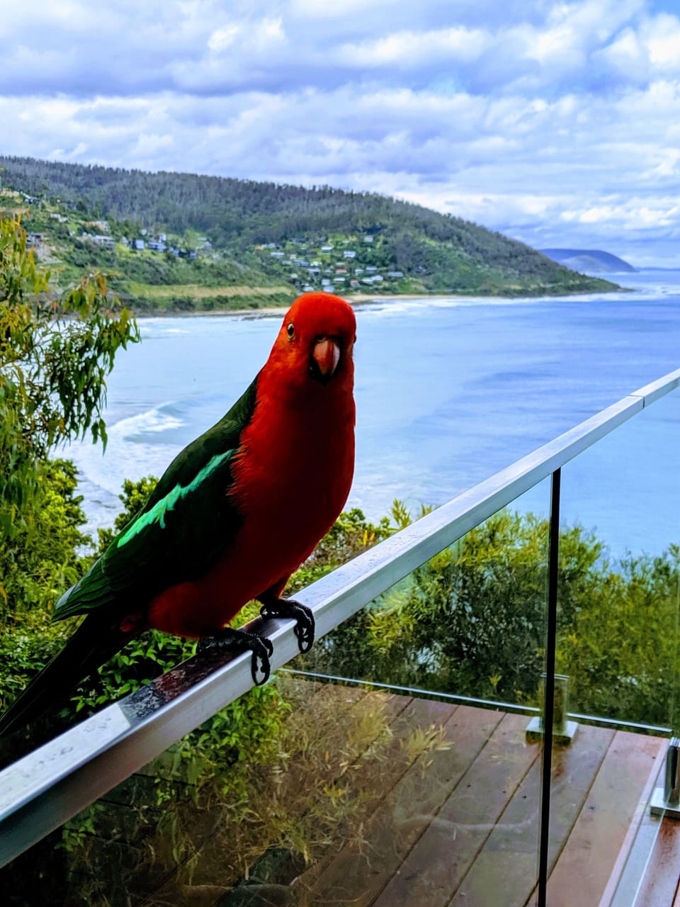 View from property