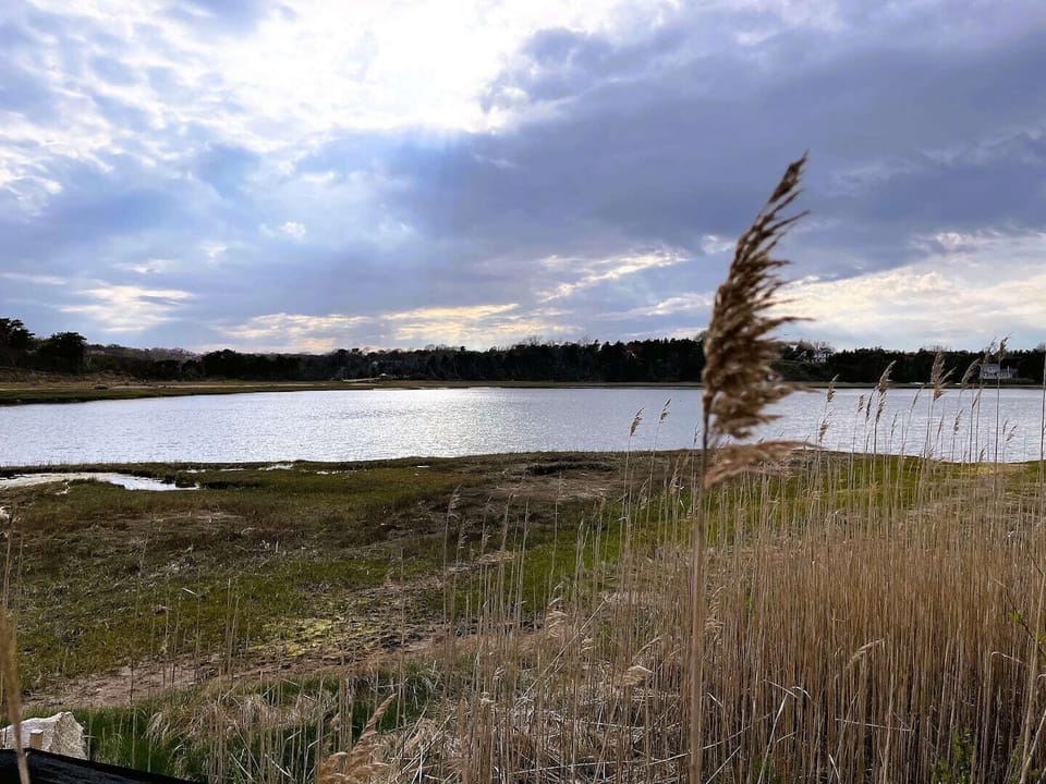 Priscillas Landing (inlet) walking distance
