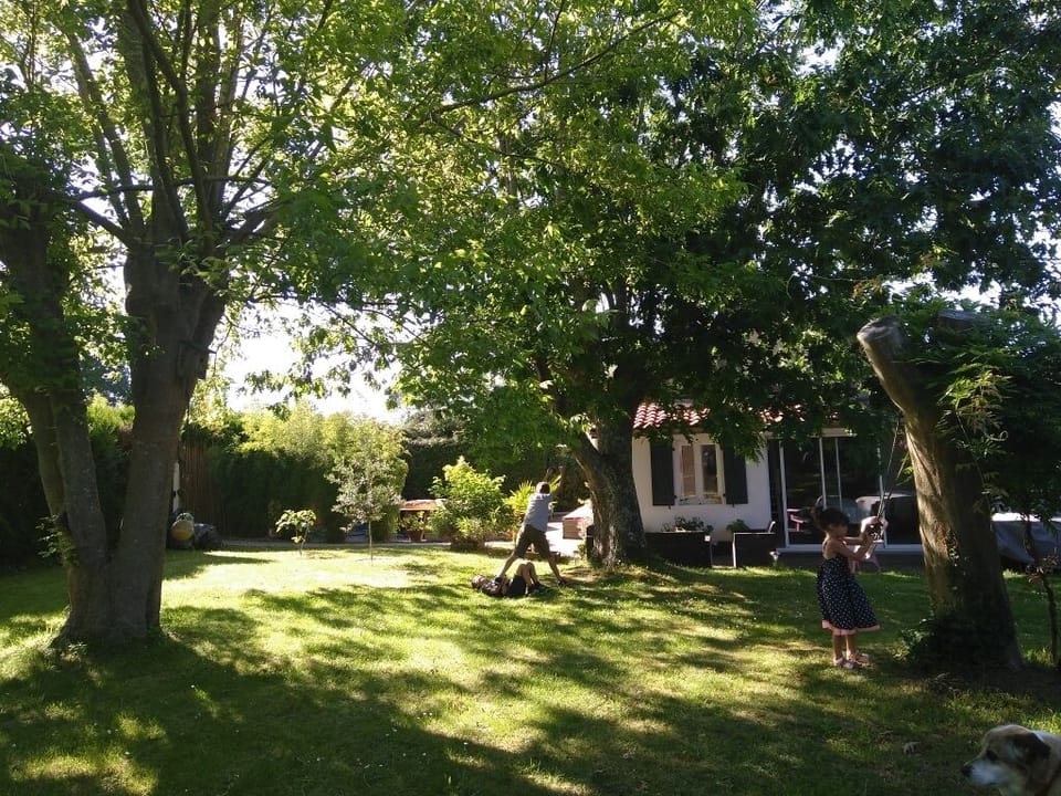 Property grounds