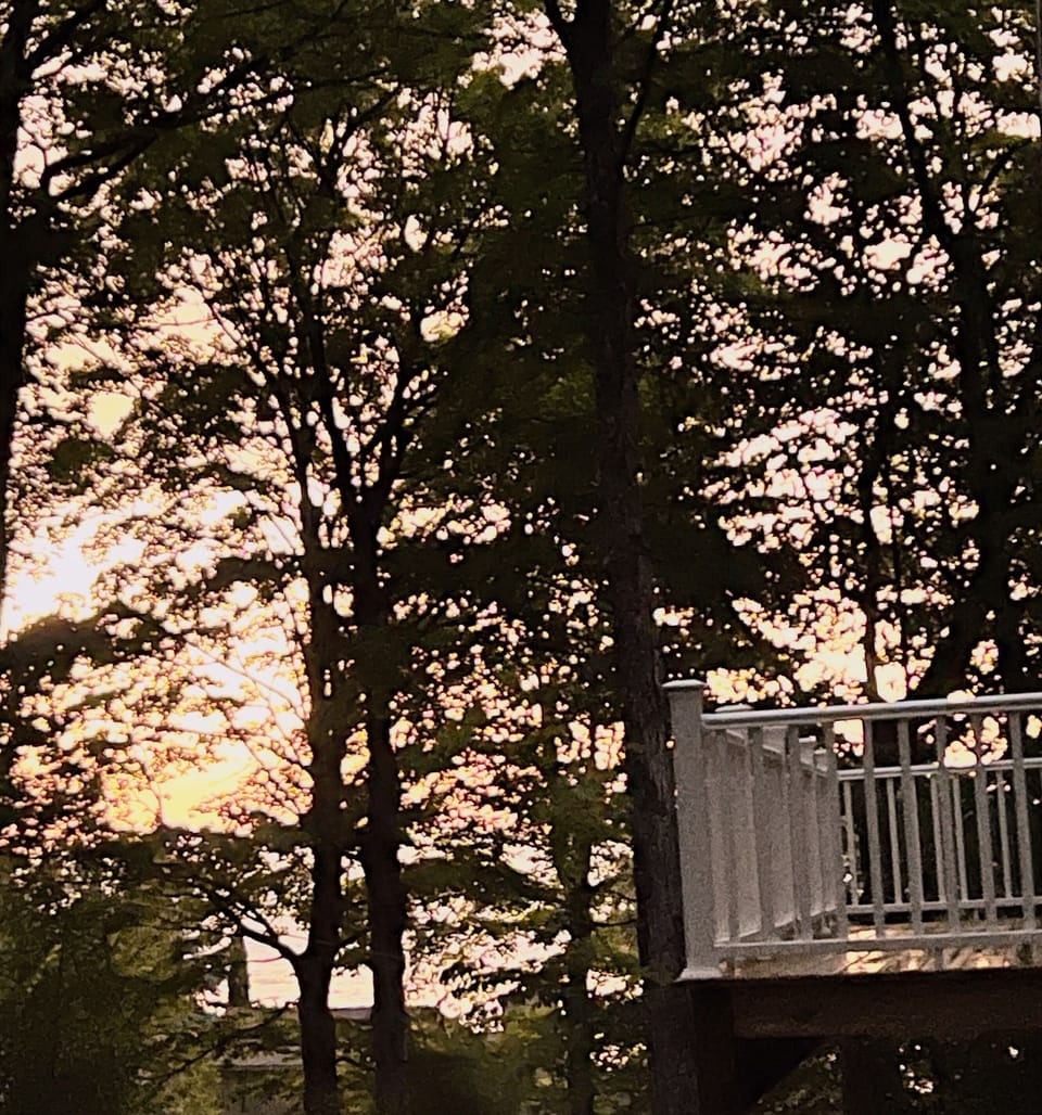 View from deck