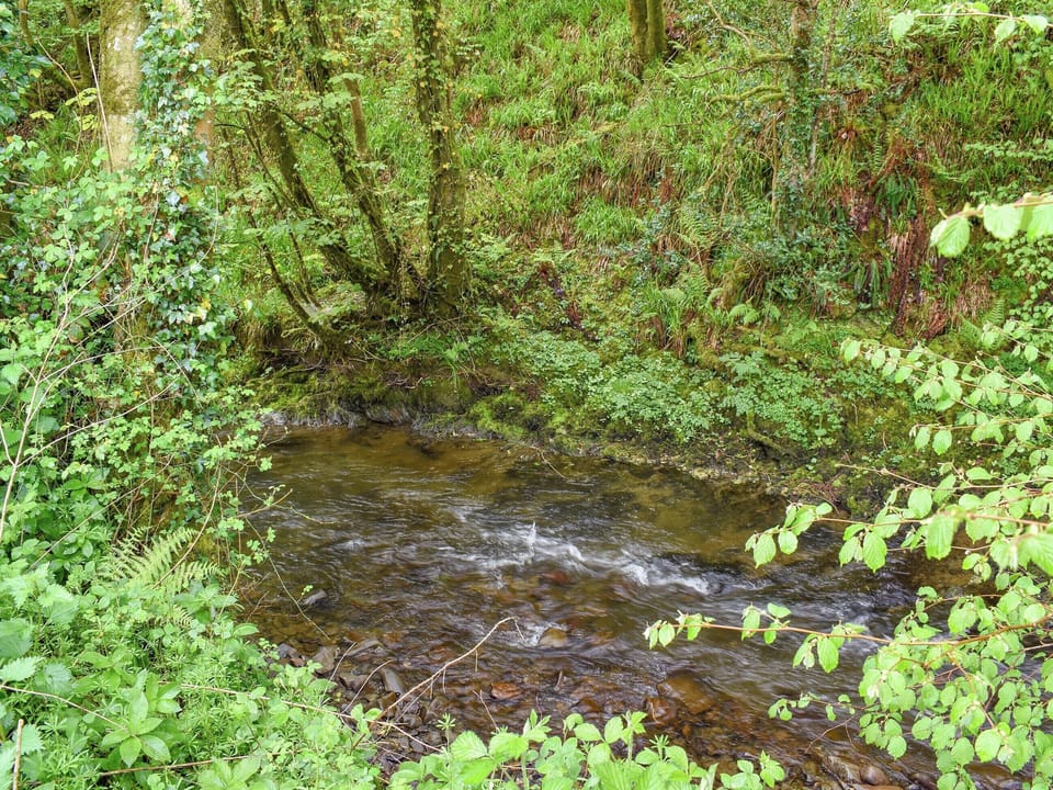 Garden and grounds | Goitre Farmhouse, Llanwrda