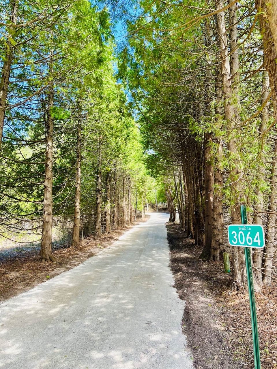 Hidden Driveway to Chalet