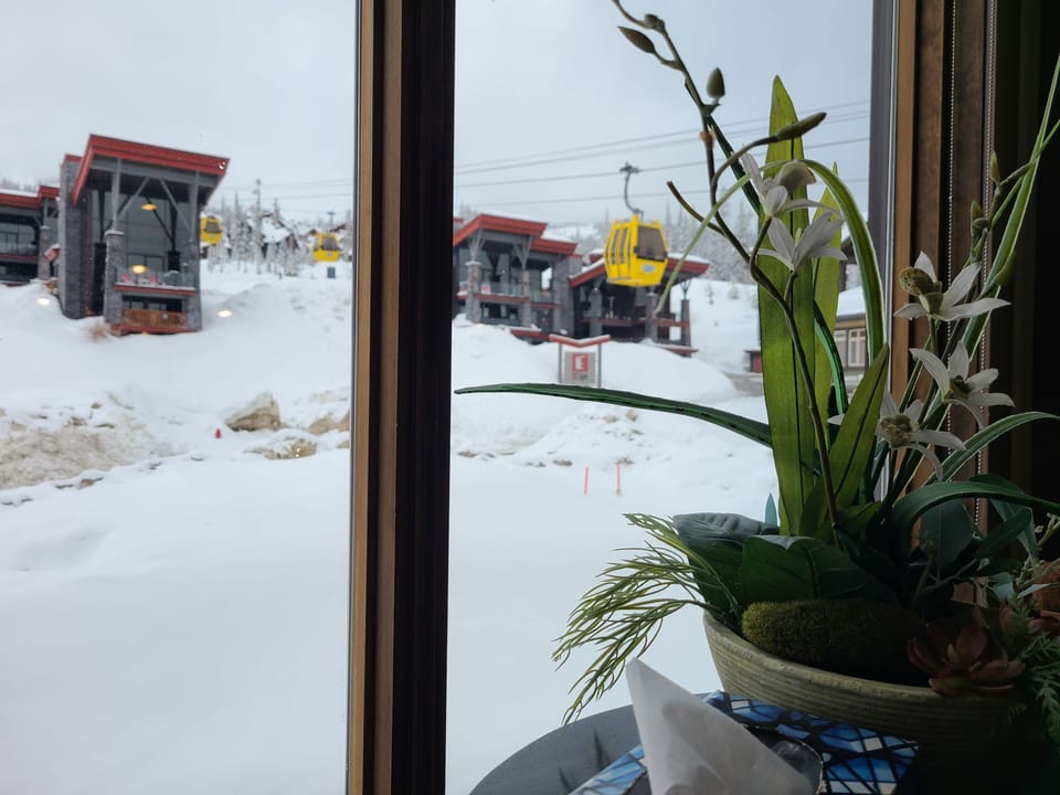 View of the gondola from the window