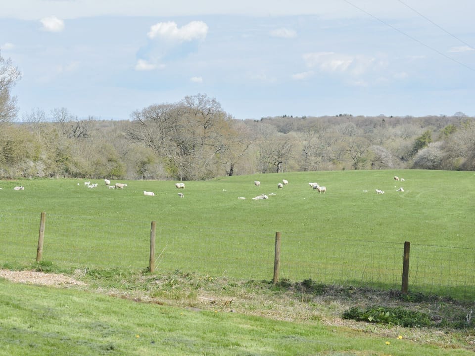 Garden and grounds | Rushgill House, Skelton, near Penrith