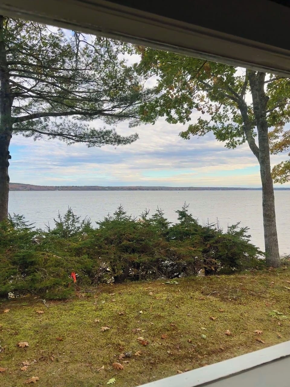 View from property