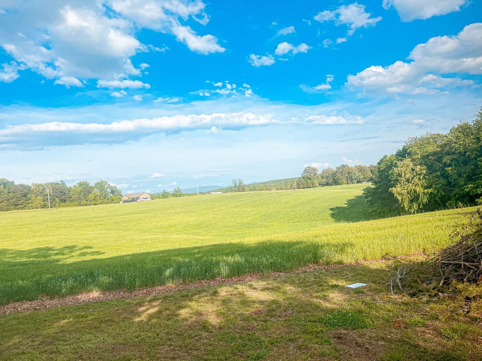 Rolling hills of surrounding acreage at the cottage 