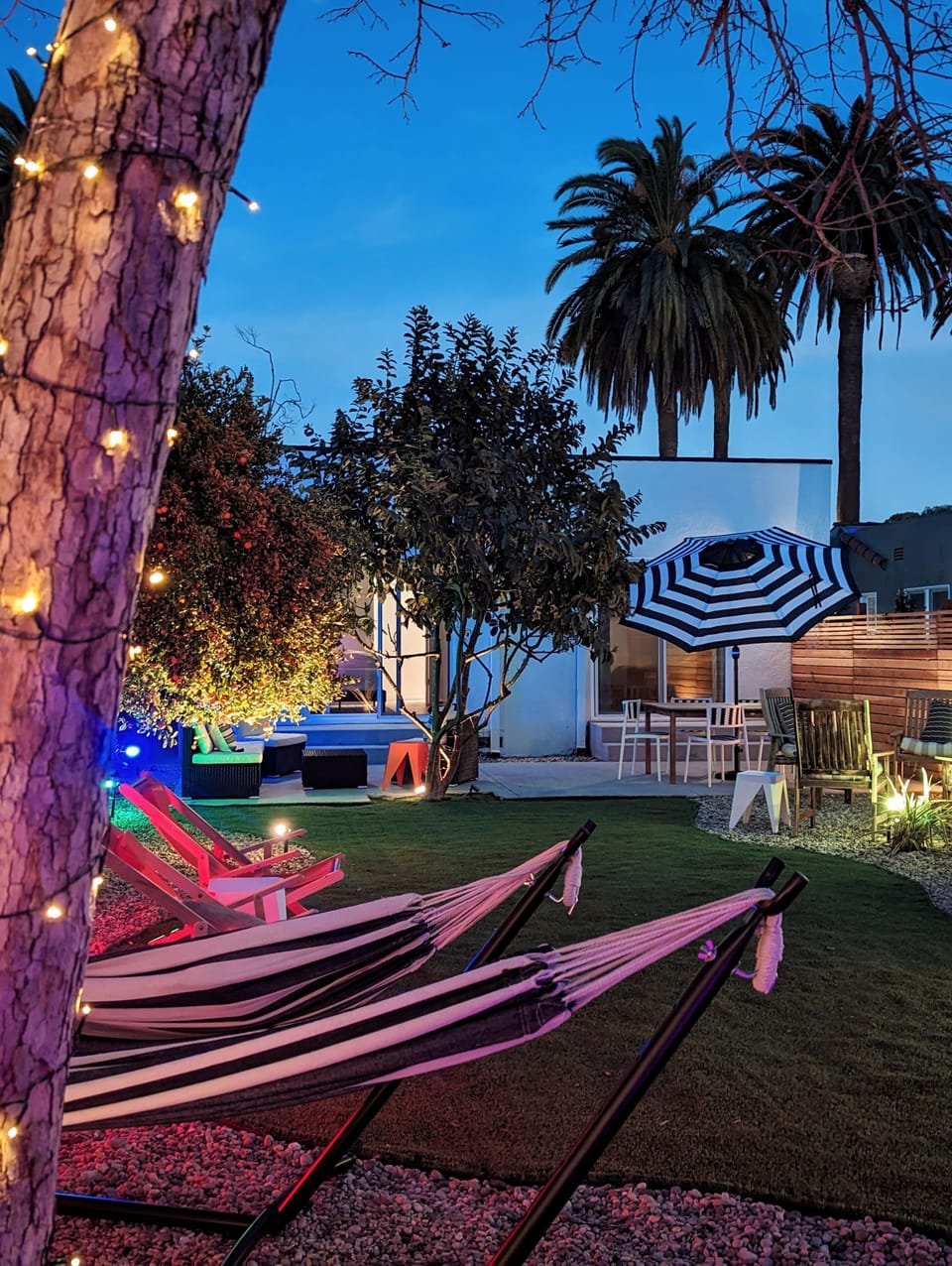 Backyard Night 1 (1)