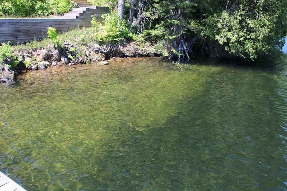 Cool, Clear Water