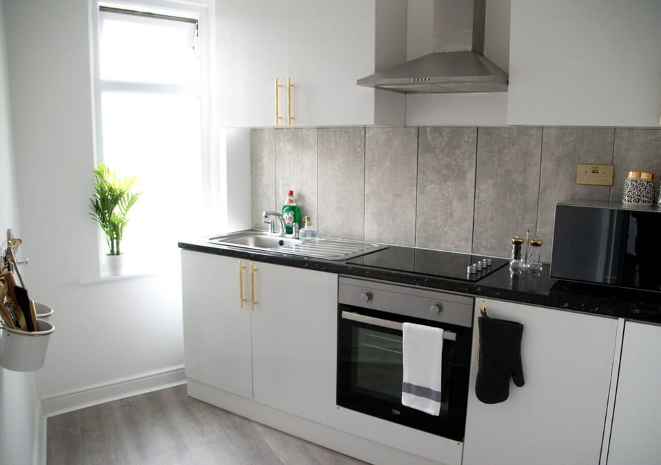 Modern Kitchen 
