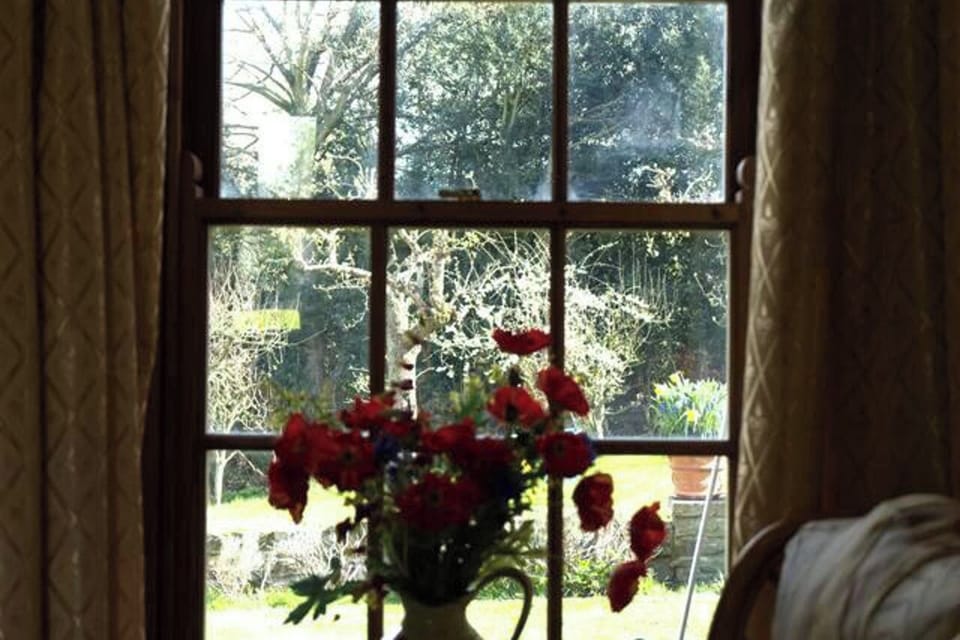 Image 13