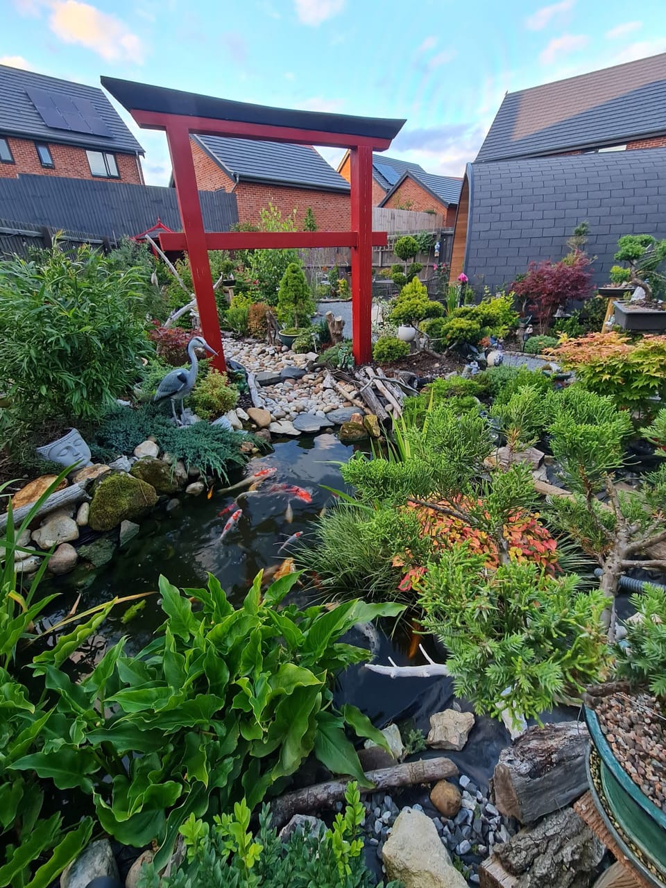 Relaxing sounds of the Koi pond  water flowing. 