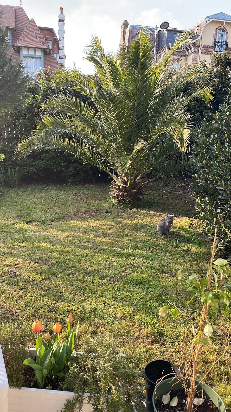 Property grounds