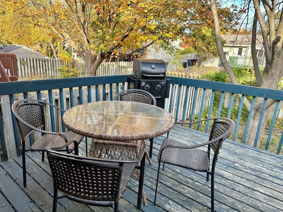Gas grill