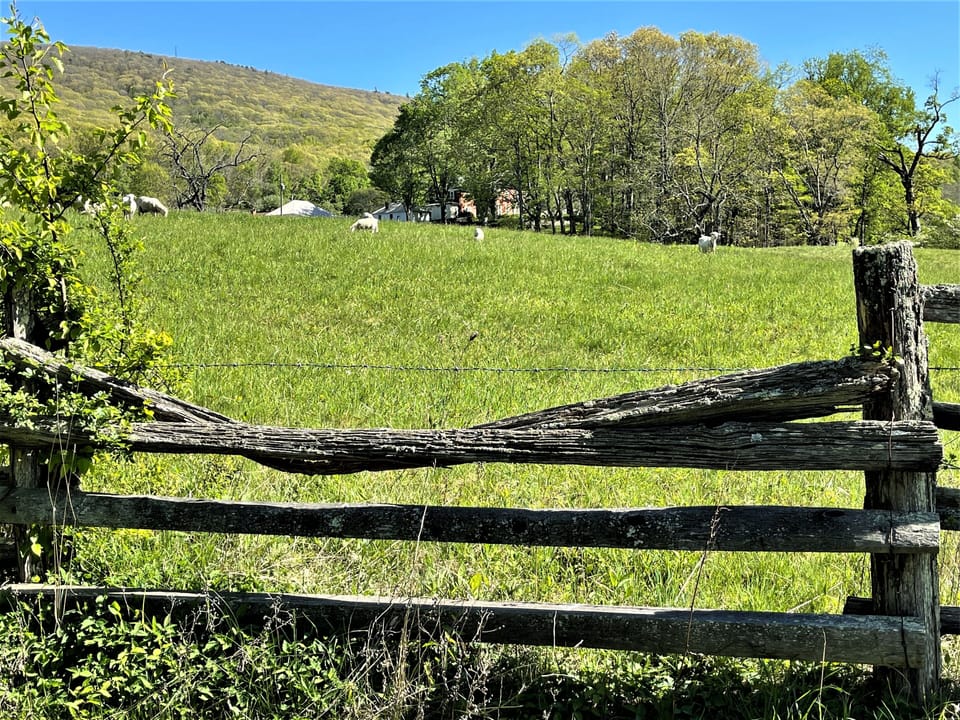 96d2ee6d-4355-42a9-b2bb-e147b7feb7ac