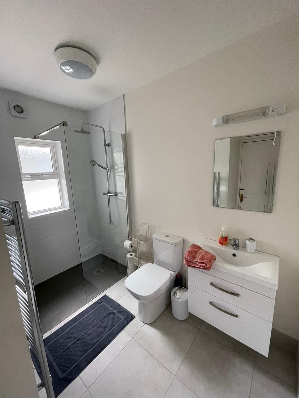 Downstairs toilet