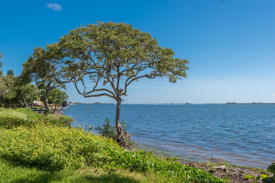 Water Views
