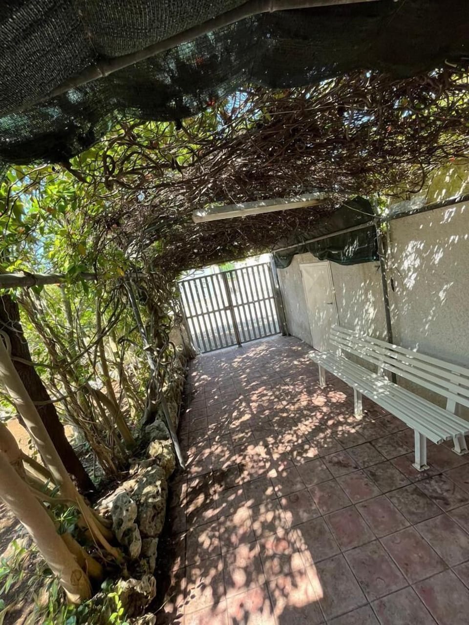 garden