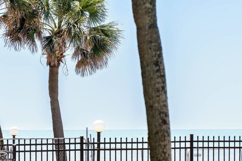 From the balcony through the palms to the surf