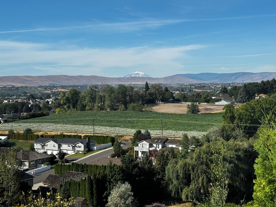 Sweet View of Mt. Adams and west valley.