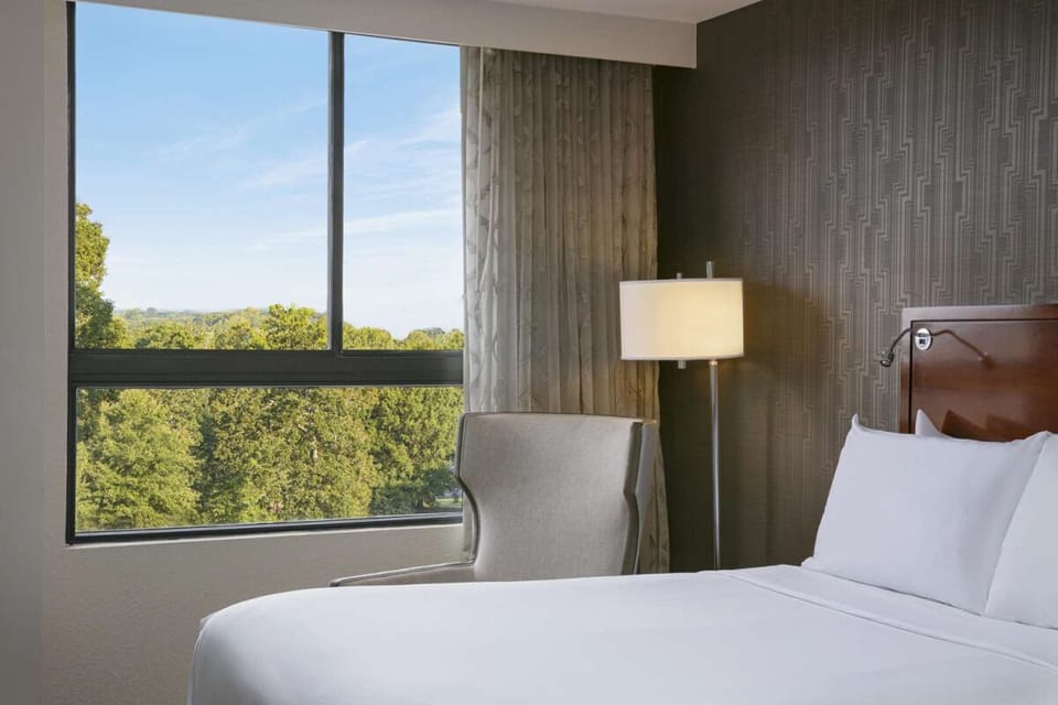 Wake up to treetop views and soft morning light.