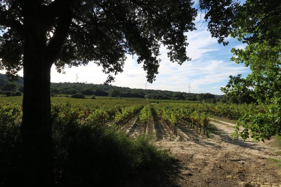 Region [summer] (>5 km)