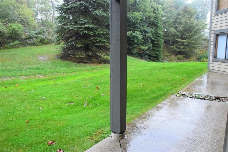 Grass, Nature, Outdoors, Yard, Lawn