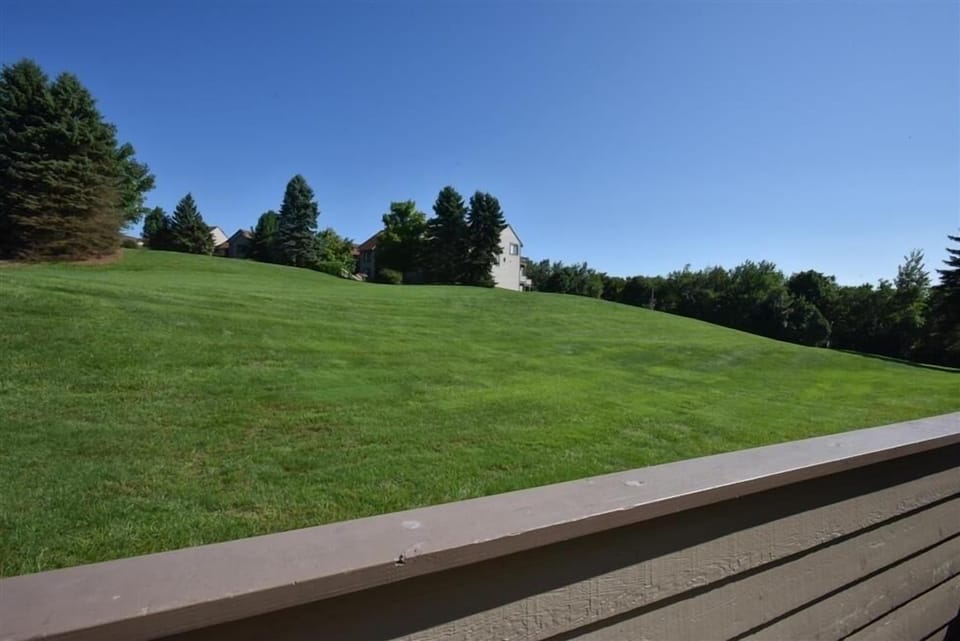 Grass, Lawn, Field, Tree, Grassland