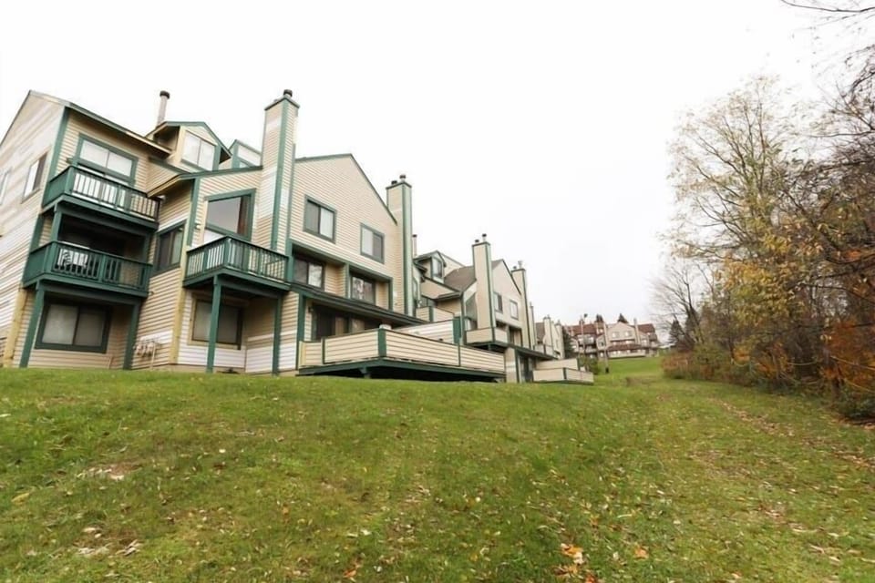 Neighborhood, Grass, City, Lawn, House