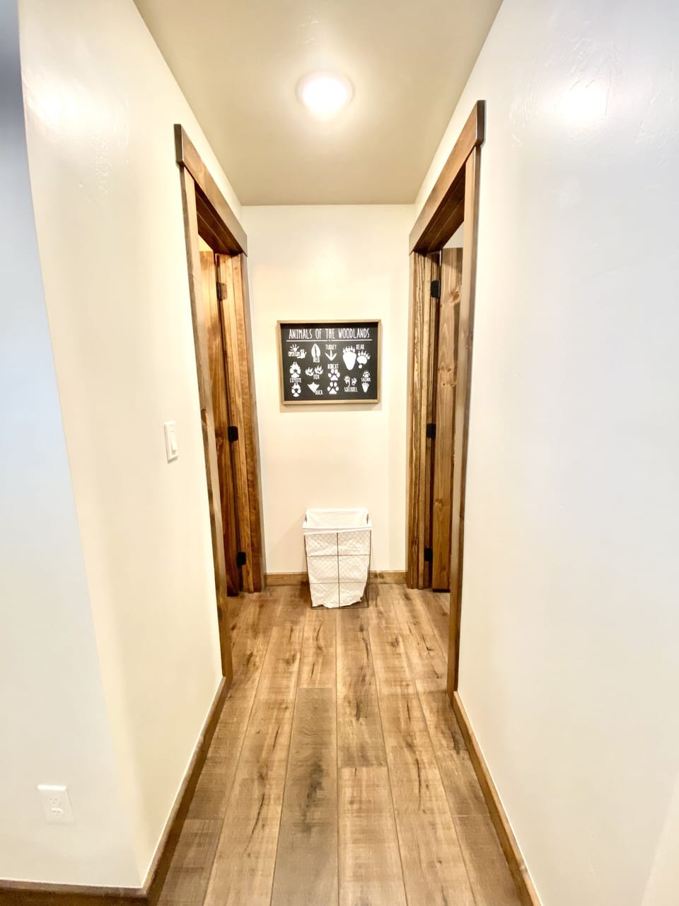 Walk Out Basement Bathroom & Laundry Room Hallway