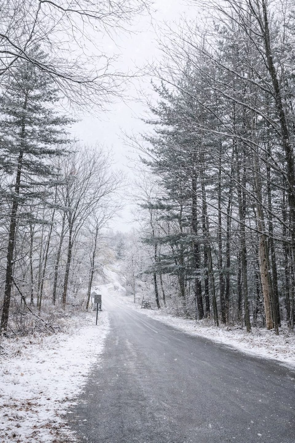 Even winter has its peaceful charm here. Branstrom Park is just steps away!