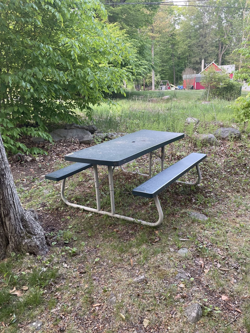 Picnic table behind cabin 