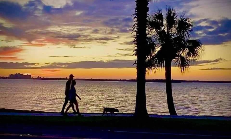 Take in a sunset every night! Stroll Edgewater Drive or visit a small beach area at the Dunedin Marina. All walking distance from the cottage. 