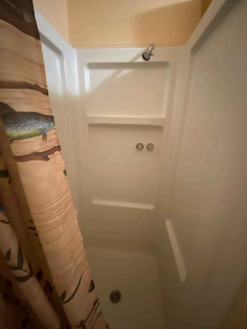 Cabin 6 - shower