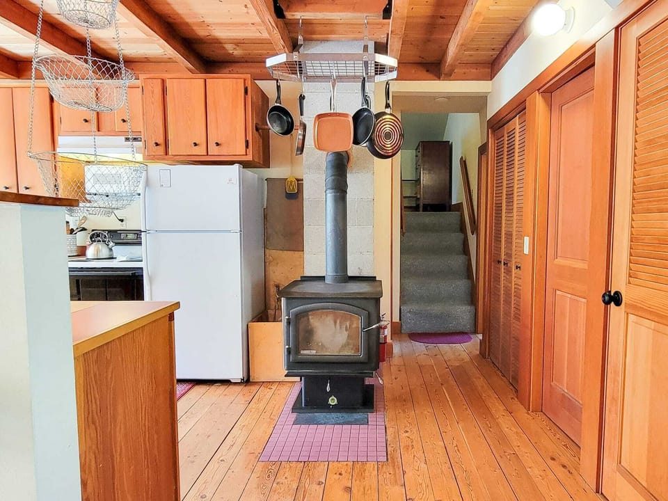 Wood stove