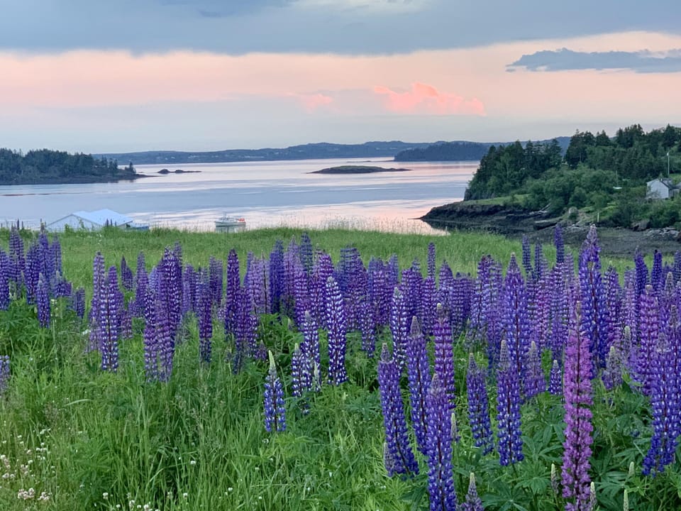 Photos of Eastport