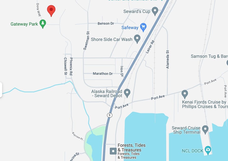 We are located in Seward's newest development. We are .6 miles from the train depot.  Please note: Google and Apple maps sometimes do not take you to the right place. Please refer to the map in our house manual. 